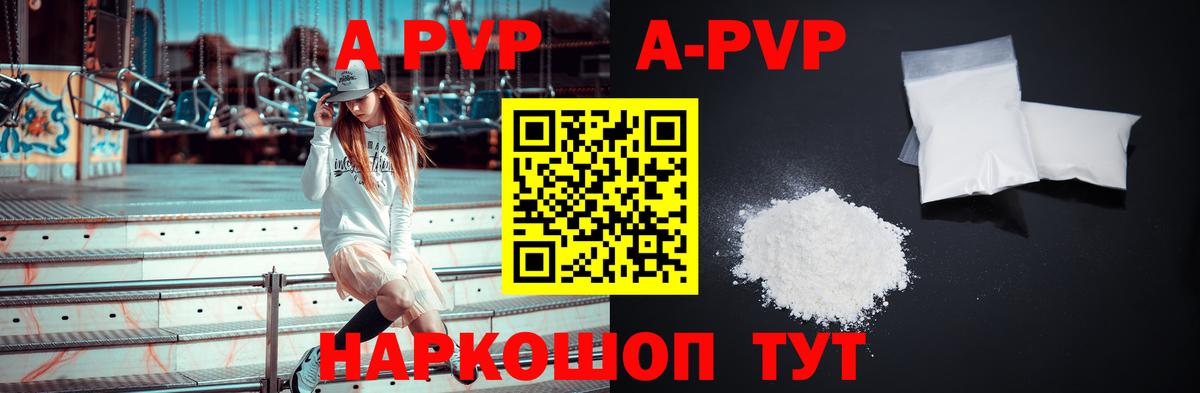 Альфа ПВП СК КРИС Курчалой