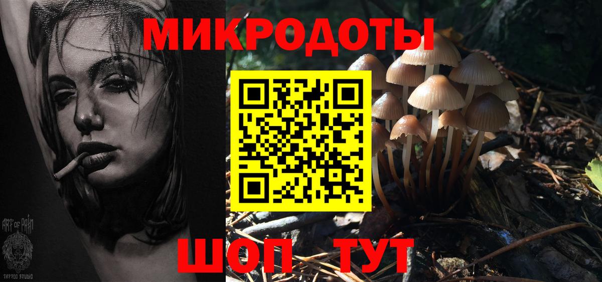 Псилоцибиновые грибы ЛСД  Вход с VPN  Курчалой 