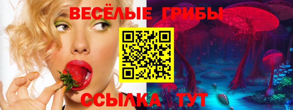 Галлюциногенные грибы мухоморы Курчалой