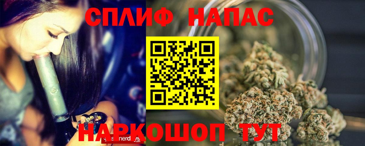 Каннабис OG Kush Курчалой